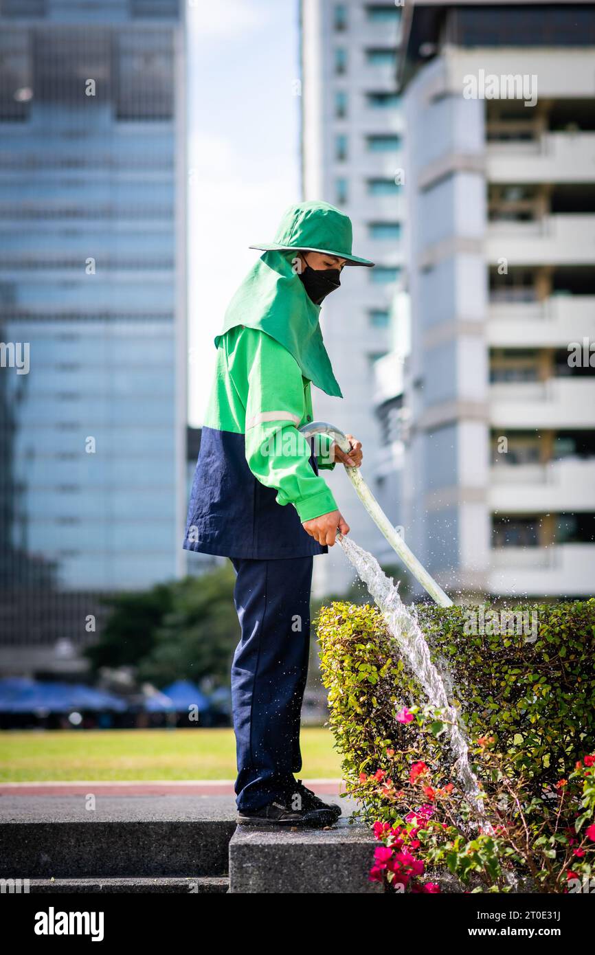 Un jardinier thaïlandais utilise un tuyau de tuyau pour arroser une haie sur le terrain de l'Université Srinakharinwirot Bangkok, Thaïlande. Banque D'Images