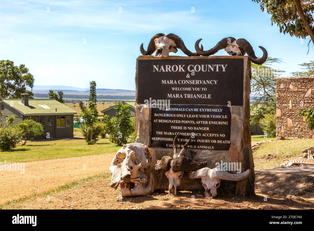 Signez dans le Masai Mara, Kenya, avertissant des dangers des animaux sauvages. Il y a des buffles plus rares et un crâne d'éléphant autour d'elle. Banque D'Images
