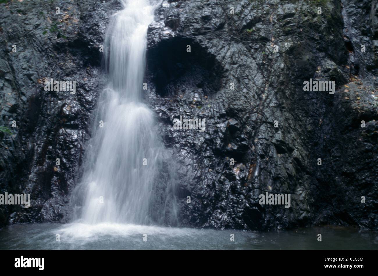 Gros plan Argyll Falls Tobago Rainforest Banque D'Images