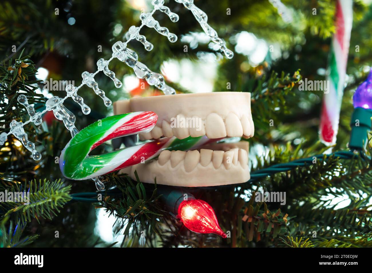 Modèle de dents 3d sur l'arbre de Noël comme ornement. Dentiers 3d avec