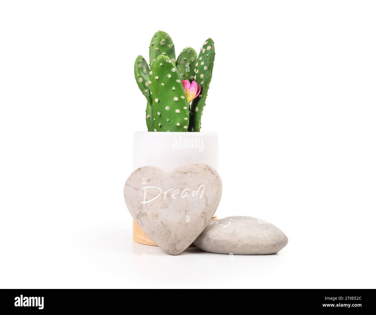 Pierre de rêve devant un faux cactus dans un vase. Roche en forme de coeur avec rêve de mot sculpté. Message inspirant, oser rêver ou concept de style de vie zen. Banque D'Images