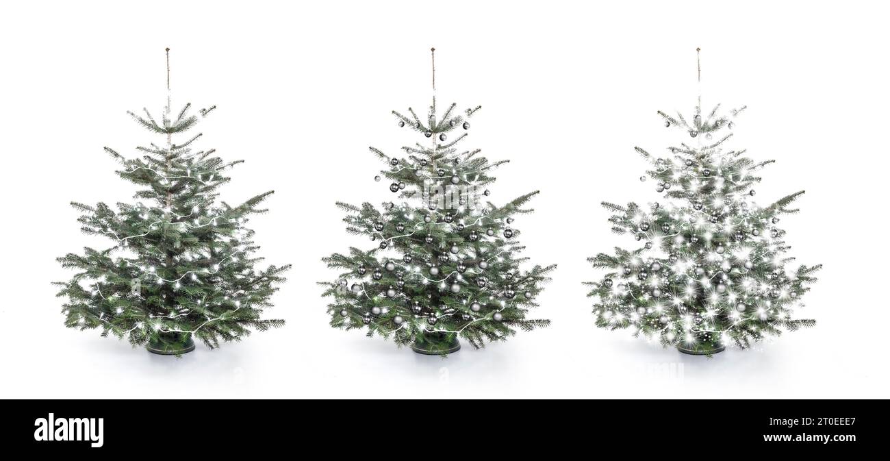 Trois arbres de Noël décorés avec des lumières de fée Banque D'Images