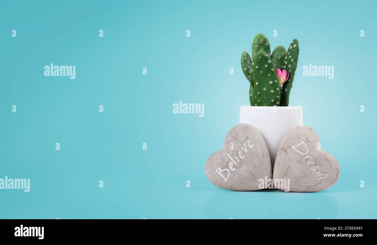 Pierre de message de rêve et de croire devant le cactus dans le vase sur fond bleu. Rochers en forme de cœur avec message de mot d'inspiration sculpté, osez à drea Banque D'Images
