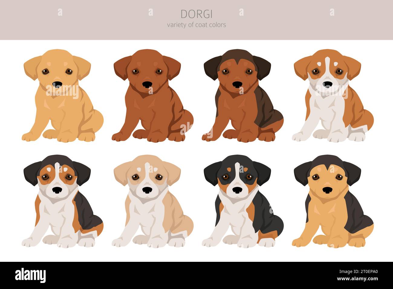 Dorgi clipart. Gallois corgi Teckel mélangé. Ensemble de couleurs de manteau différentes. Illustration vectorielle Illustration de Vecteur