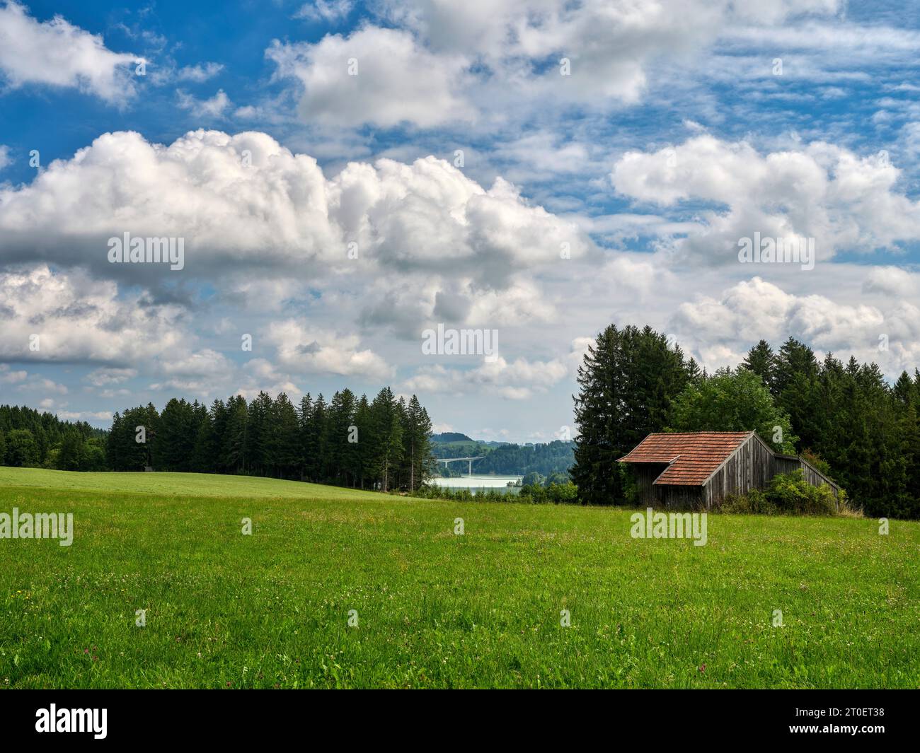 Dans le paysage moraine au-dessus du réservoir de Schongau Lech, au sud de Schongau Banque D'Images