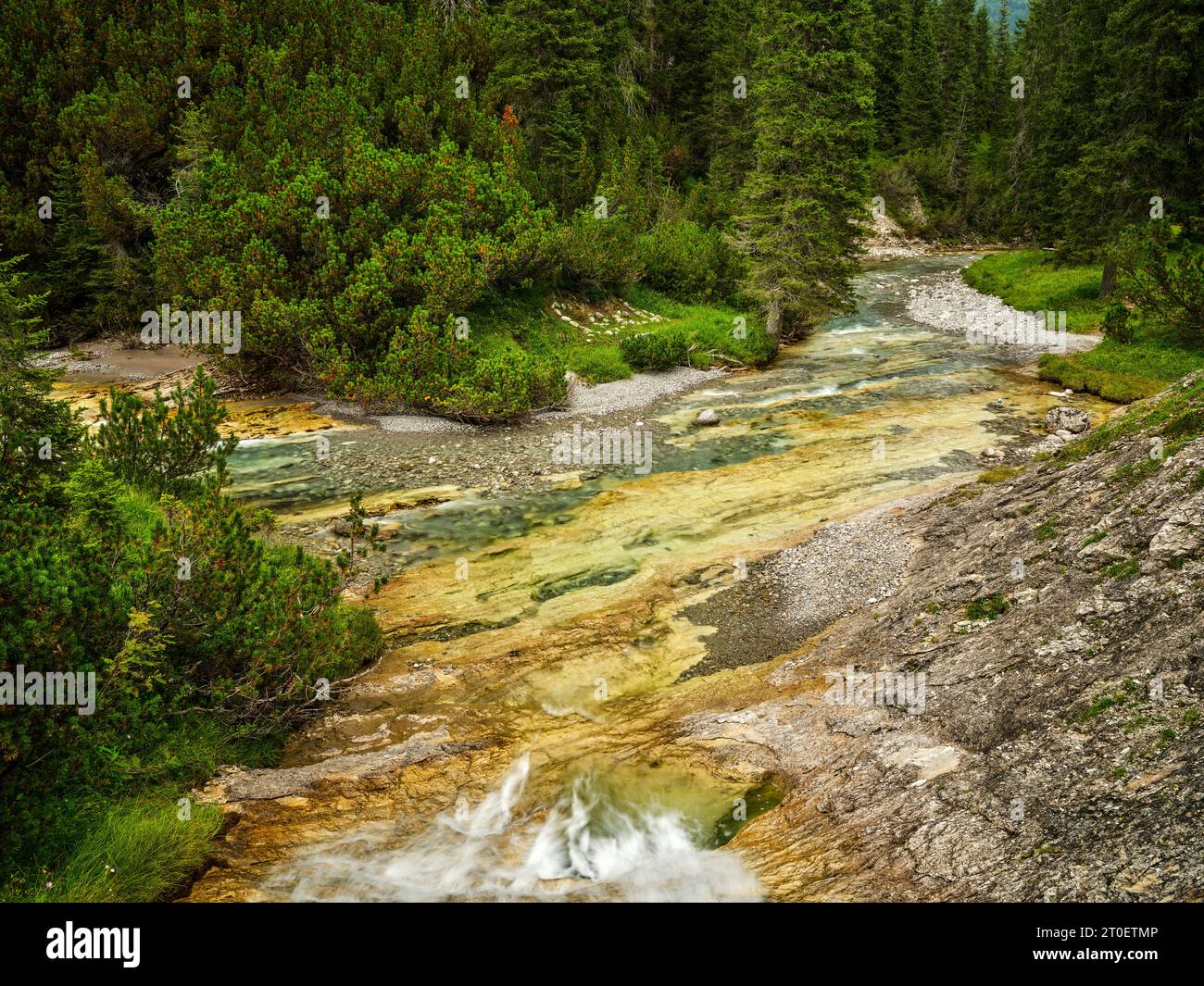 Sentier de randonnée le long du ruisseau Spullerbach au-dessus de Lech Banque D'Images