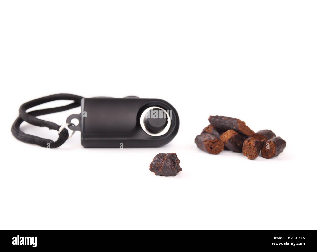 Gâteries pour dressage de chiens et clicker pour dressage d'obéissance. Clicker d'entraînement défocalisé. Faites un son de clic pour les chiens pour apprendre des tours avec reinfo positive Banque D'Images