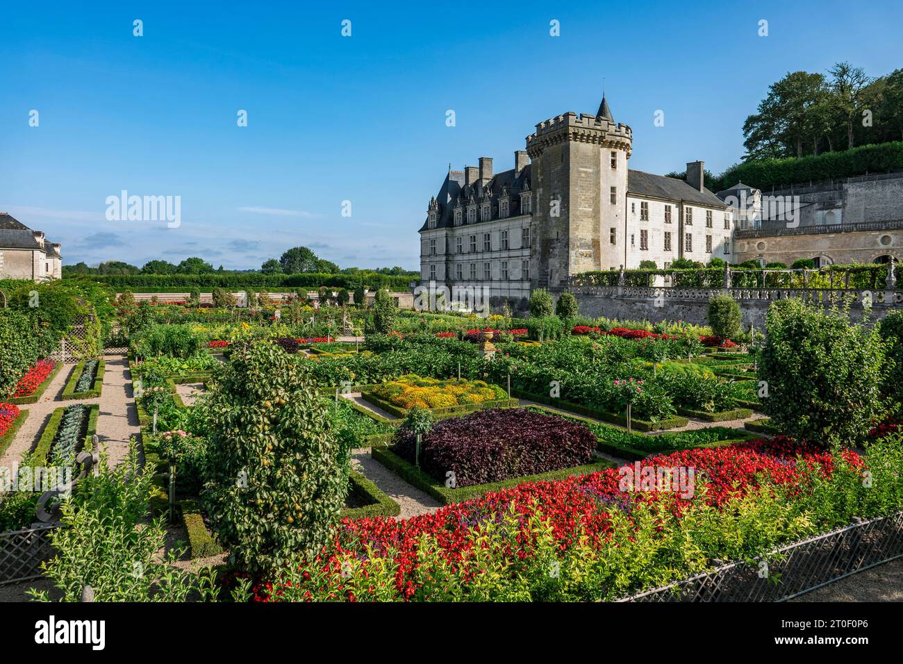 Le château de Villandry est situé à environ 17 km à l'ouest de la ville de Tours. Le château de Villandry est surtout célèbre pour ses jardins. Le village éponyme de Villandry est situé sur le cher et est la dernière commune avant sa confluence avec la Loire. Banque D'Images