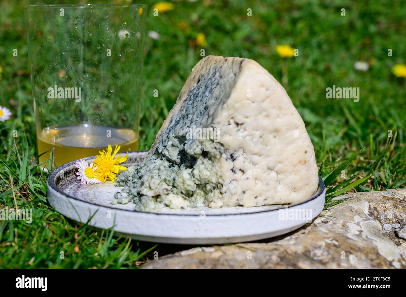 Le fromage de lait de vache bleue Cabrales et le cidre de pomme sont des glasss fabriqués par des agriculteurs ruraux des Asturies, en Espagne, et des pâturages verts de Picos de Europa en arrière-plan Banque D'Images