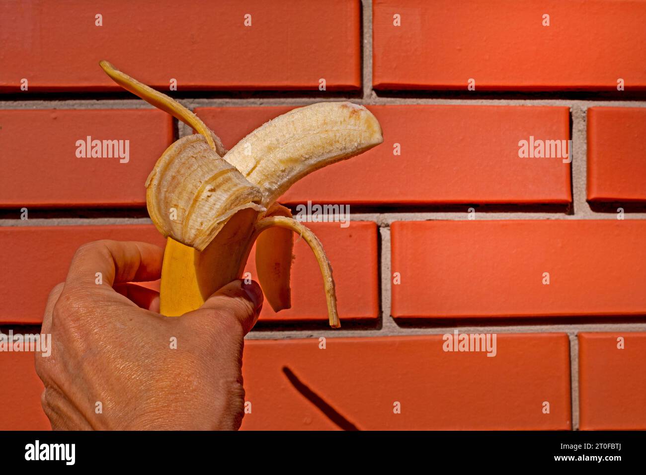 banane pelée mûre tenue par la main d'une femme sur le fond d'un mur de briques Banque D'Images