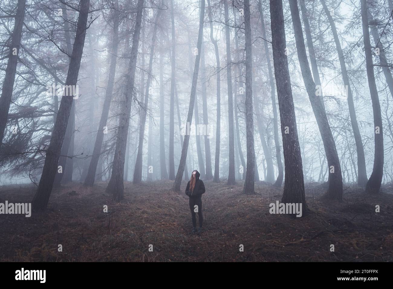 Forêt brumeuse couverte de brouillard avec des arbres tordus et femme debout en arrière-plan Banque D'Images