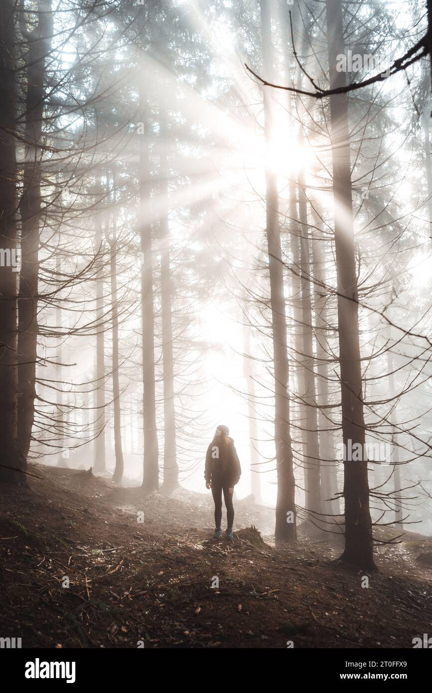 Forêt avec des rayons de lumière chaude et une femme debout en arrière-plan, république tchèque, parc national de Krkonose Banque D'Images