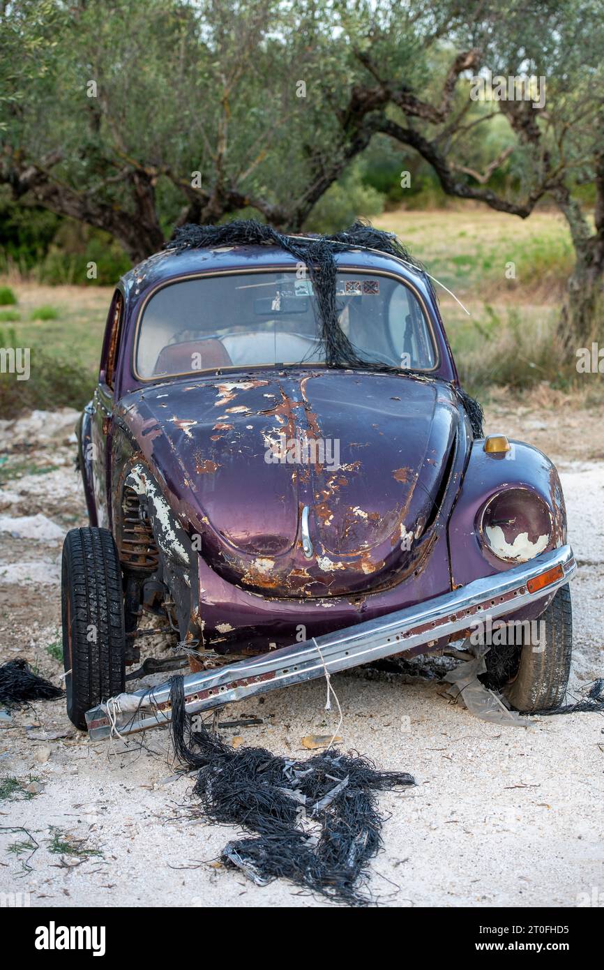 épave rouillée ou corrodée d'une voiture à moteur vintage volkswacen beetle abandonnée dans un champ plein d'oliviers en grèce. Banque D'Images