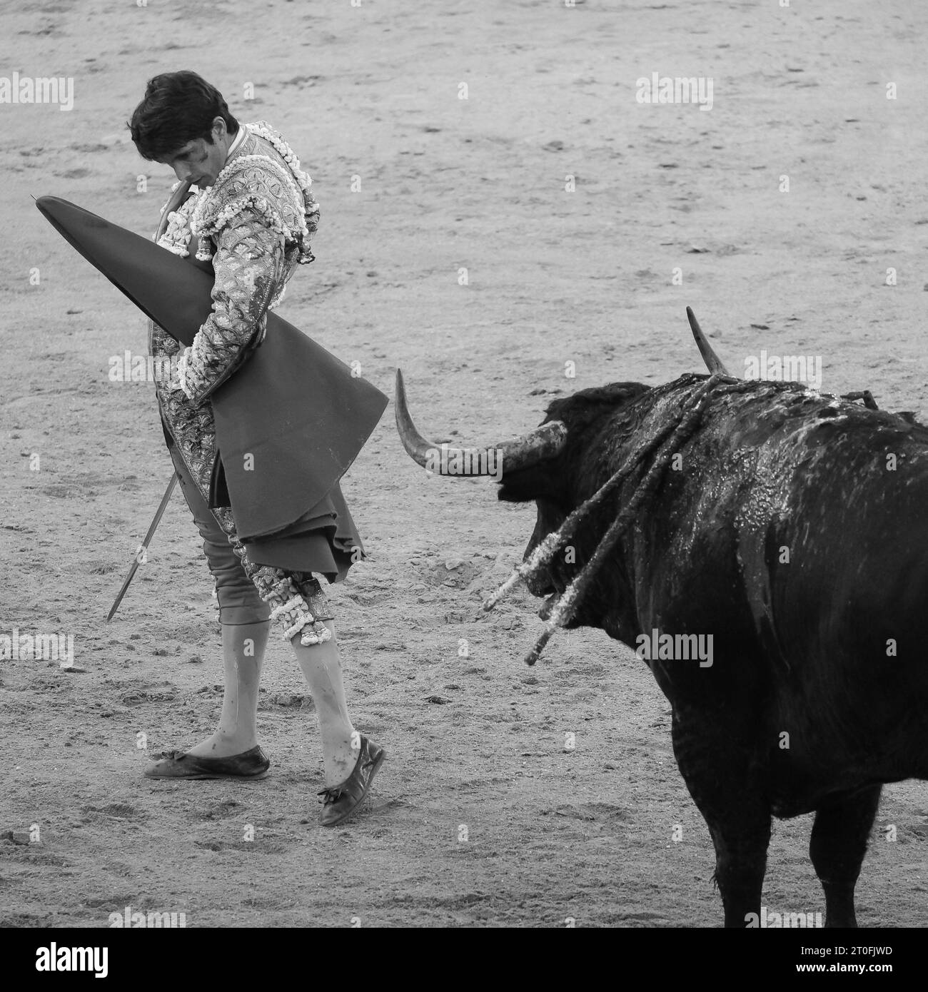 Le torero Sebastian Castella lors de la corrida de la feria de otoño sur la Plaza de las Ventas de Madrid, 6 octobre 2023 Espagne Banque D'Images