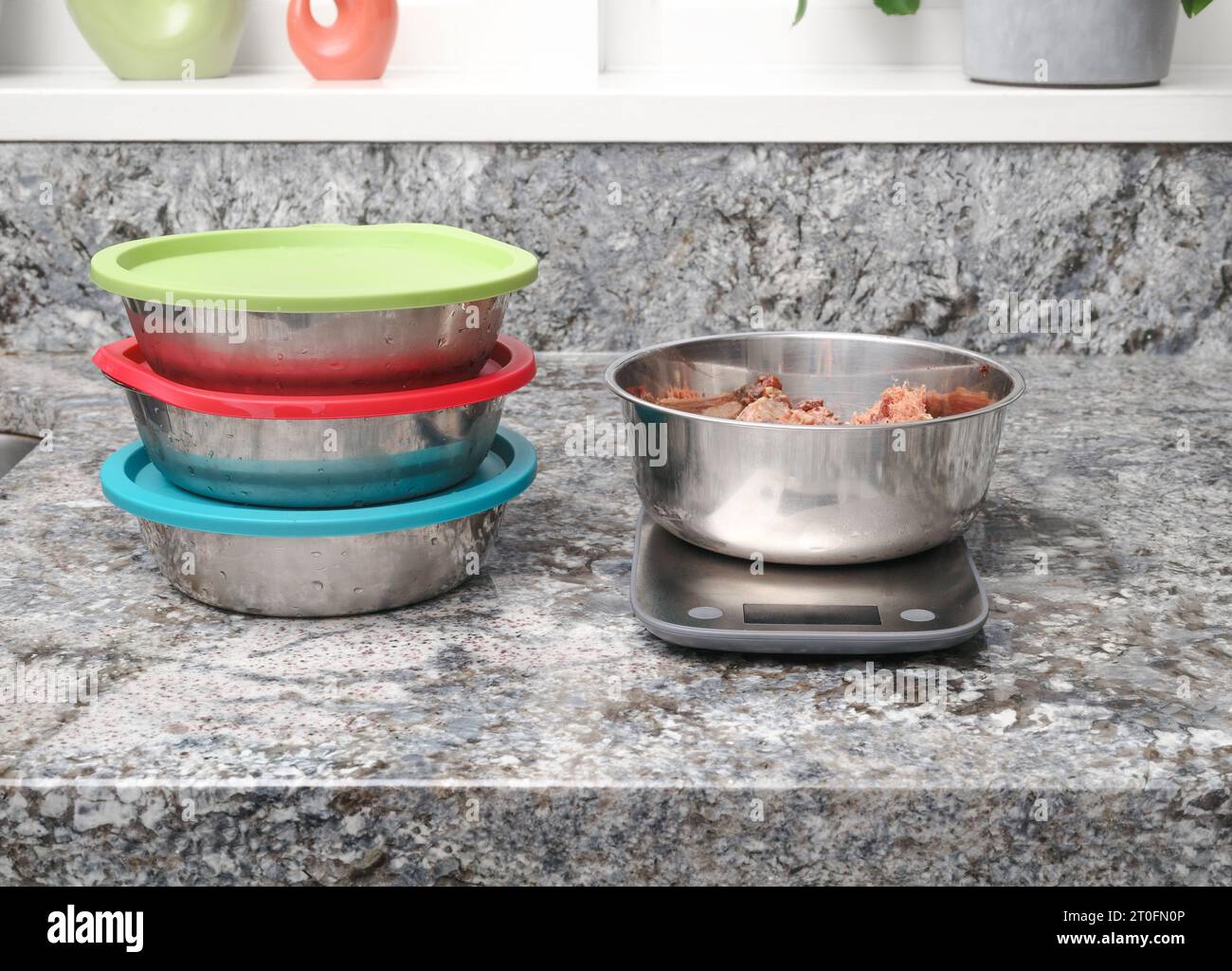 Préparation de repas crus pour chien dans la cuisine. Plats de nourriture pour animaux de compagnie multiples et avec échelle. Mesurer la viande de poulet hachée en portion et la conserver dans de l'acier inoxydable Banque D'Images