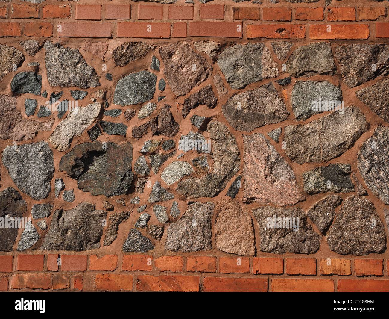 APPAREIL PHOTO NUMÉRIQUE OLYMPUS Banque D'Images