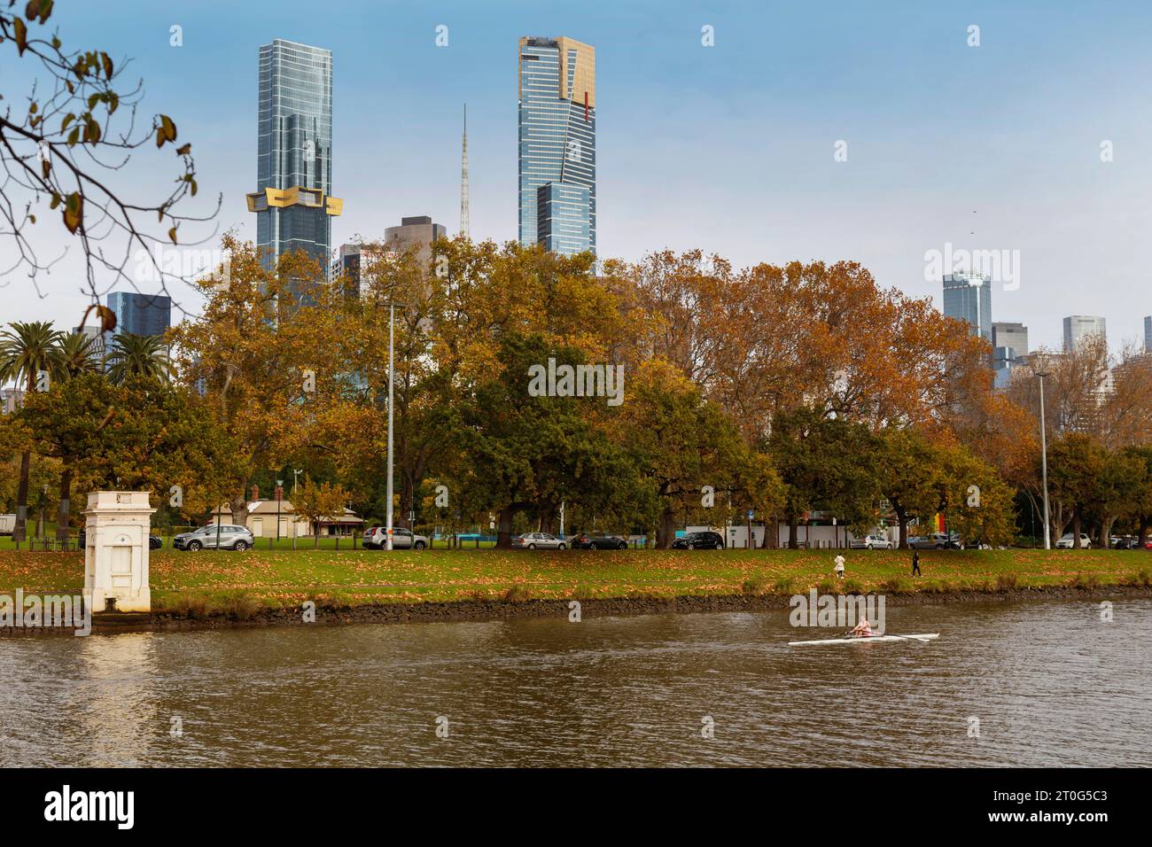 Rameur tôt le matin sur la rivière Yarra Banque D'Images