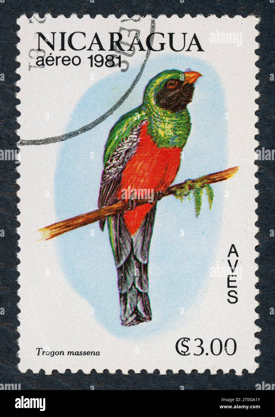 Le trogon à queue ardoise (Trogon massena). Série oiseaux. Timbre-poste émis au Nicaragua en 1981. Banque D'Images