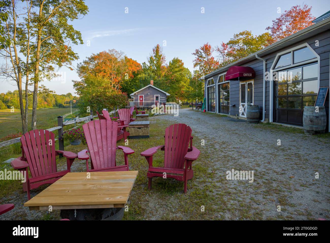 la cour arrière avec vue sur la forêt d'automne - une terrasse vide sans personnes, un patio avec des tables et des chaises muskoka - un espace de détente Banque D'Images