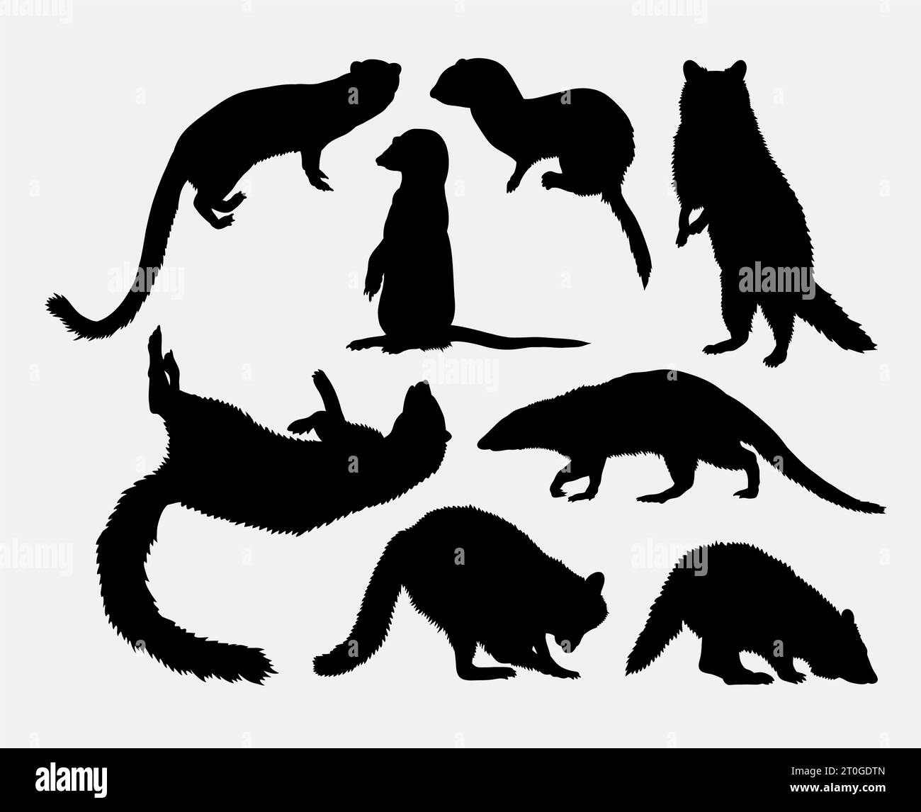 silhouette d'animal mammifère de raton laveur et de belette Illustration de Vecteur