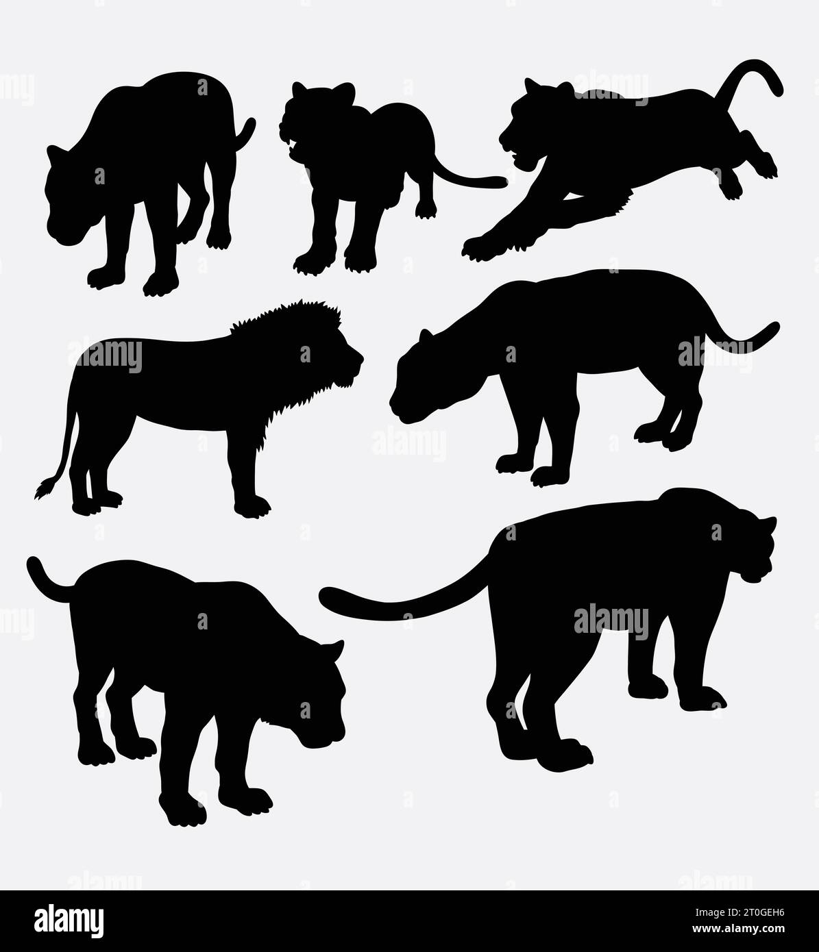 Silhouette d'animal de tigre et de panthère Illustration de Vecteur