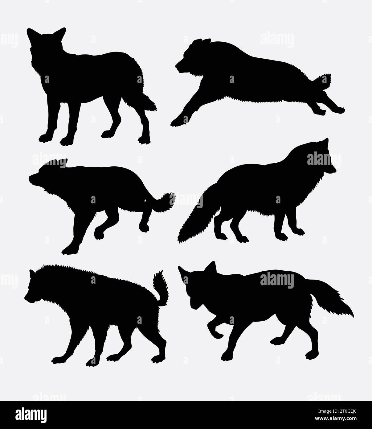 silhouette d'animal de renard et de loup Illustration de Vecteur