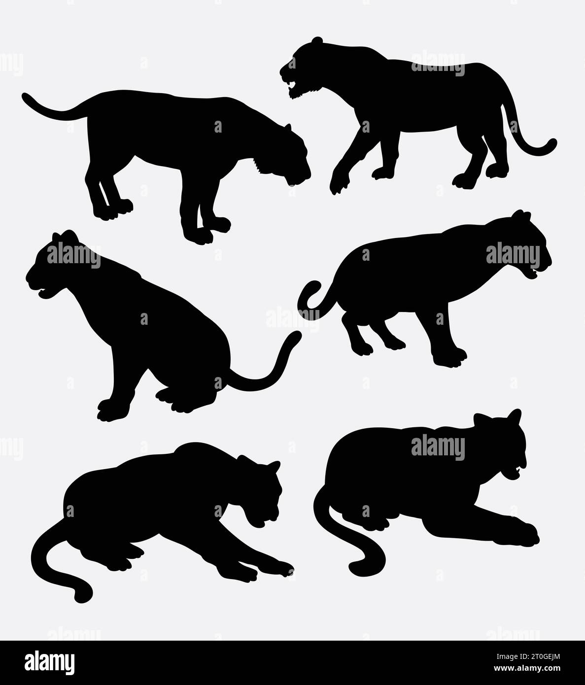 silhouette animale panthère noire Illustration de Vecteur