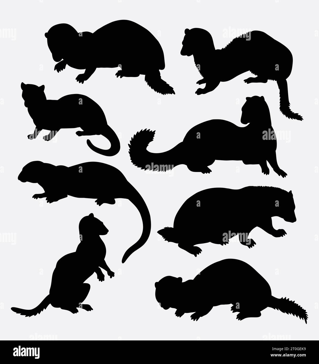silhouette d'animal sauvage de mongoose Illustration de Vecteur