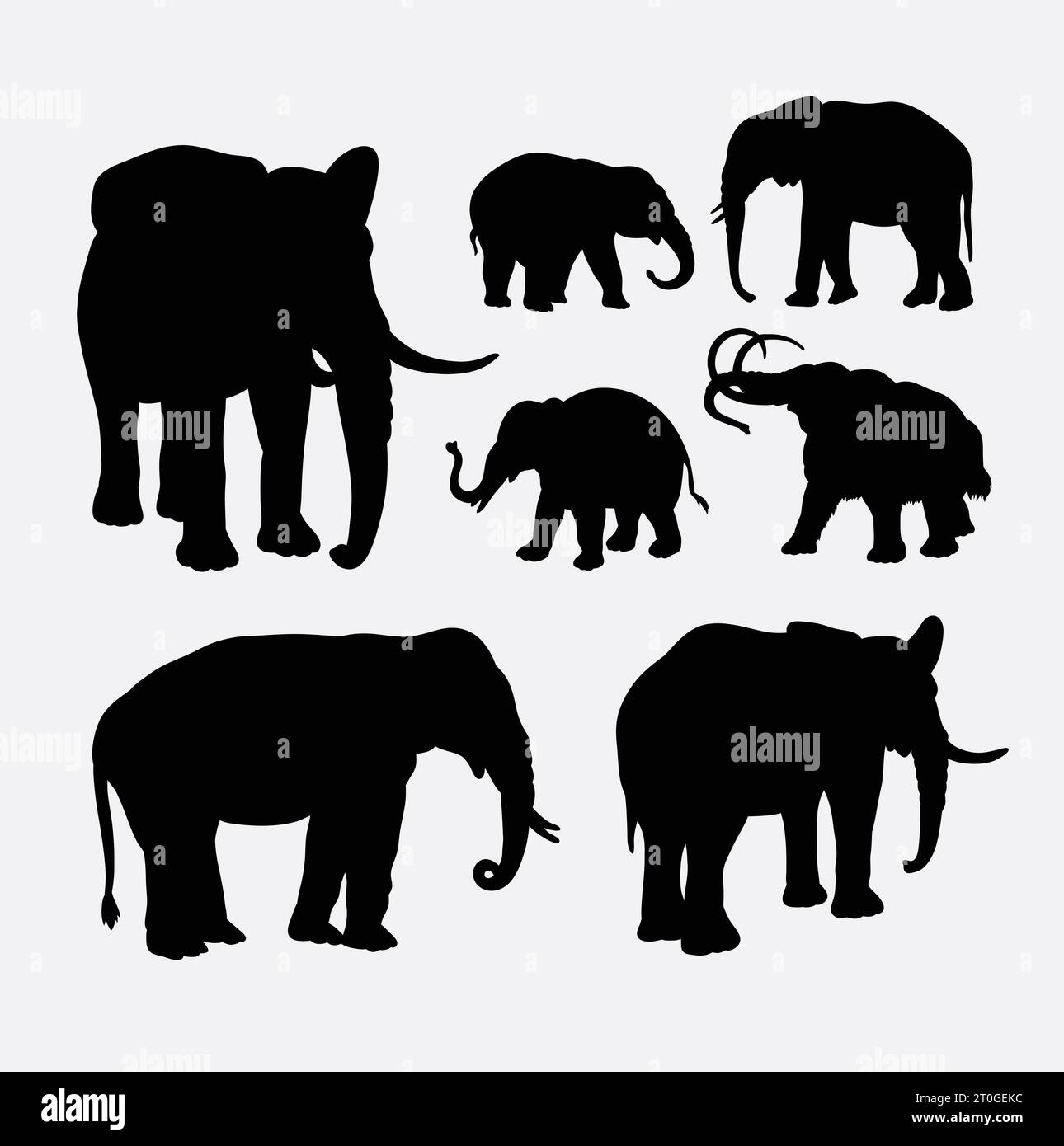 silhouette d'animal sauvage d'éléphant Illustration de Vecteur