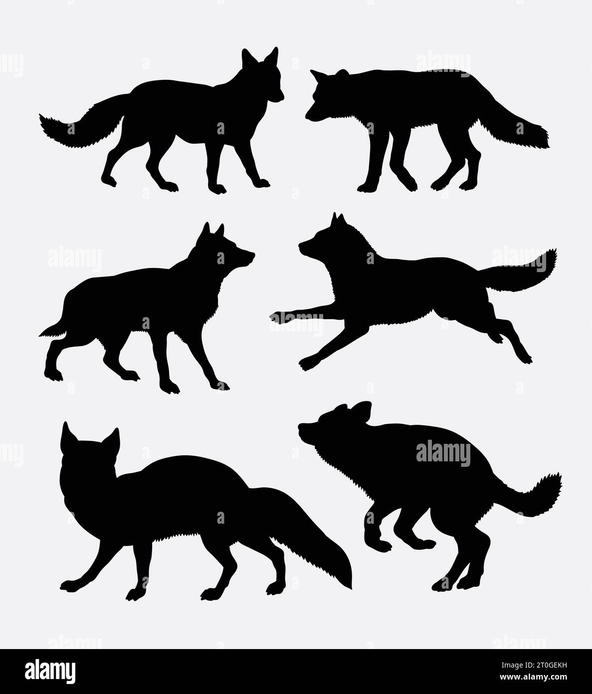 silhouette d'animal sauvage renard Illustration de Vecteur