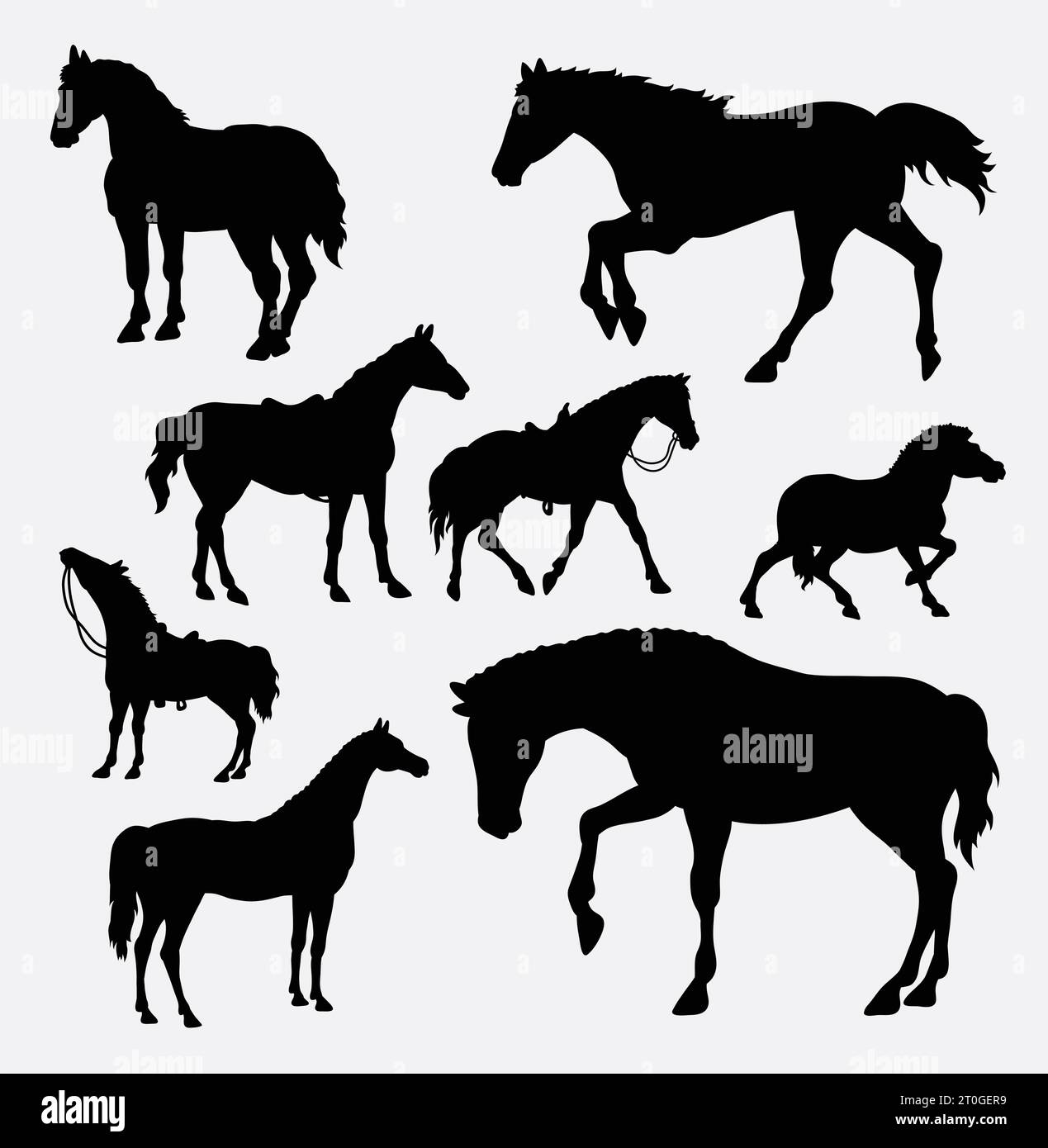 silhouette d'animal de mammifère de cheval Illustration de Vecteur