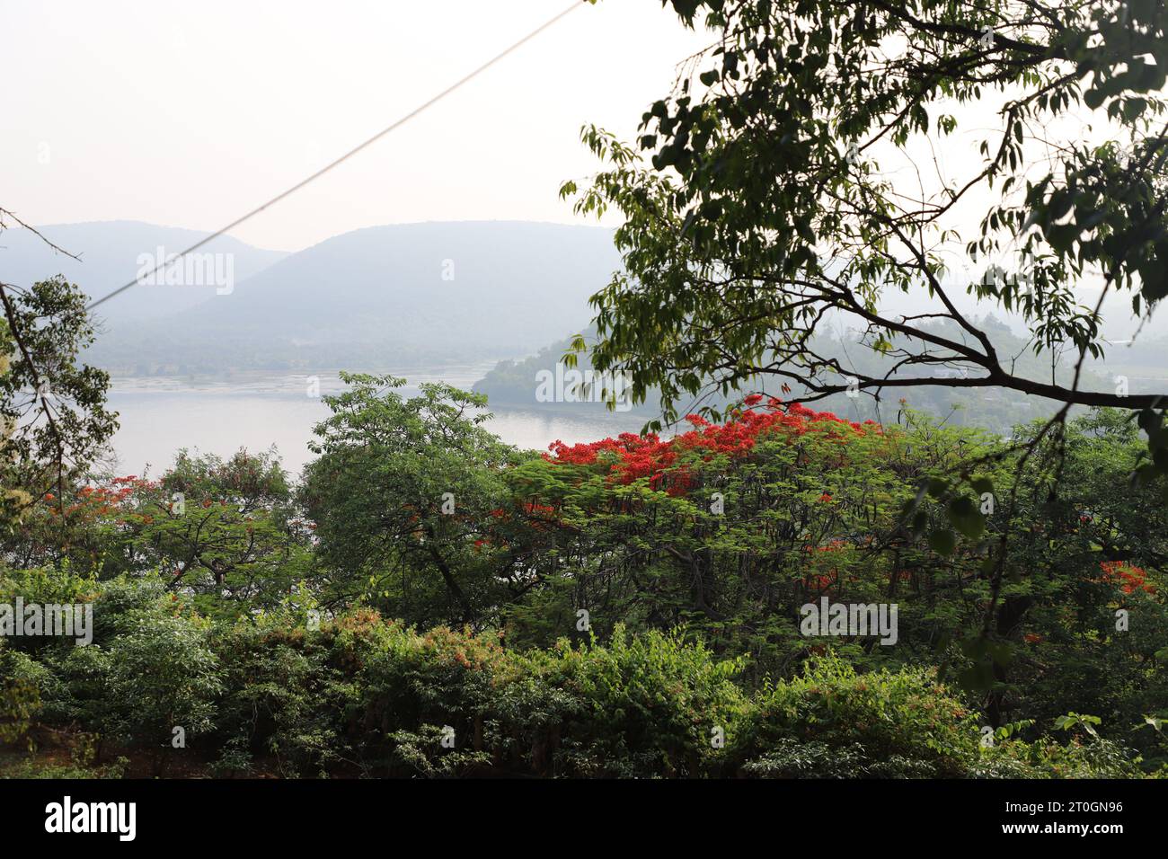 Vue sur la nature avec rivière et montagnes Banque D'Images