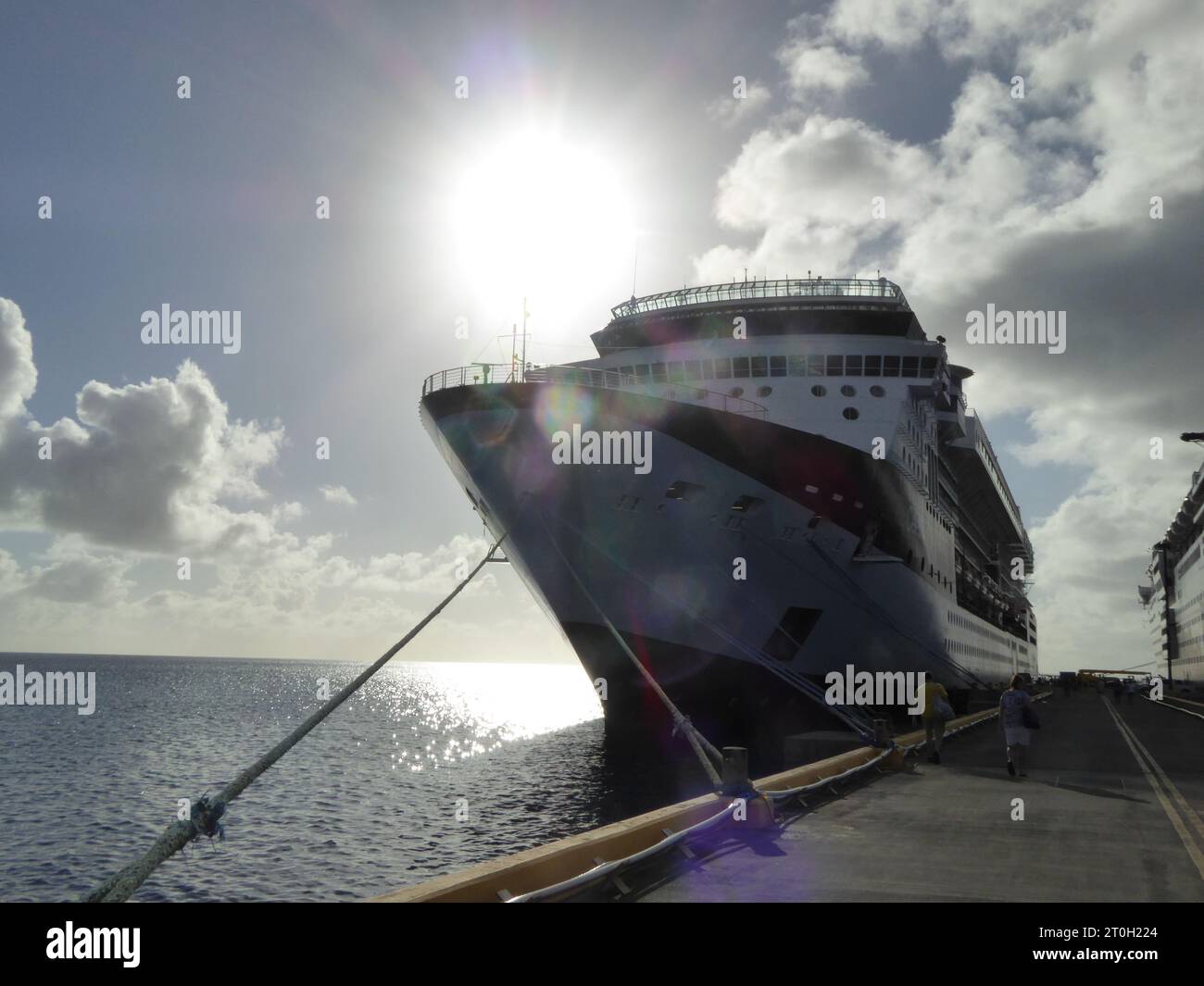 Voyage et tourisme des Caraïbes, îles et plages, animaux et plantes. Banque D'Images