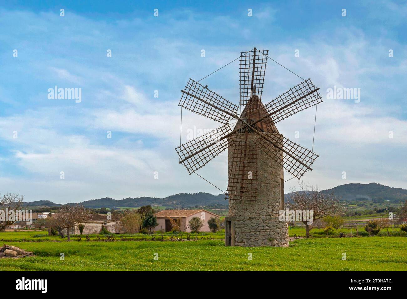 Moulin à vent traditionnel dans la plaine centrale d'es Pla, Majorque, Îles Baléares, Espagne Banque D'Images