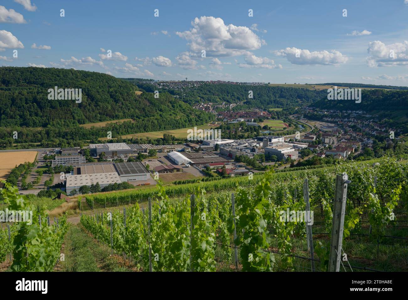 Vue de Criesbach et Niedernhall et les entreprises commerciales de Criesbach et Niedernhall depuis le Criesbacher Sattel, Criesbach, Kochertal Banque D'Images