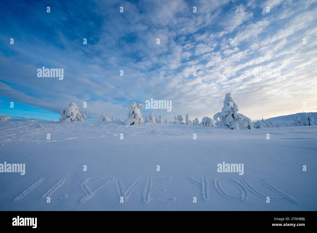 Paysage d'hiver avec des arbres enneigés et l'écriture Je t'aime écrit dans la neige, Levi, Finlande Banque D'Images
