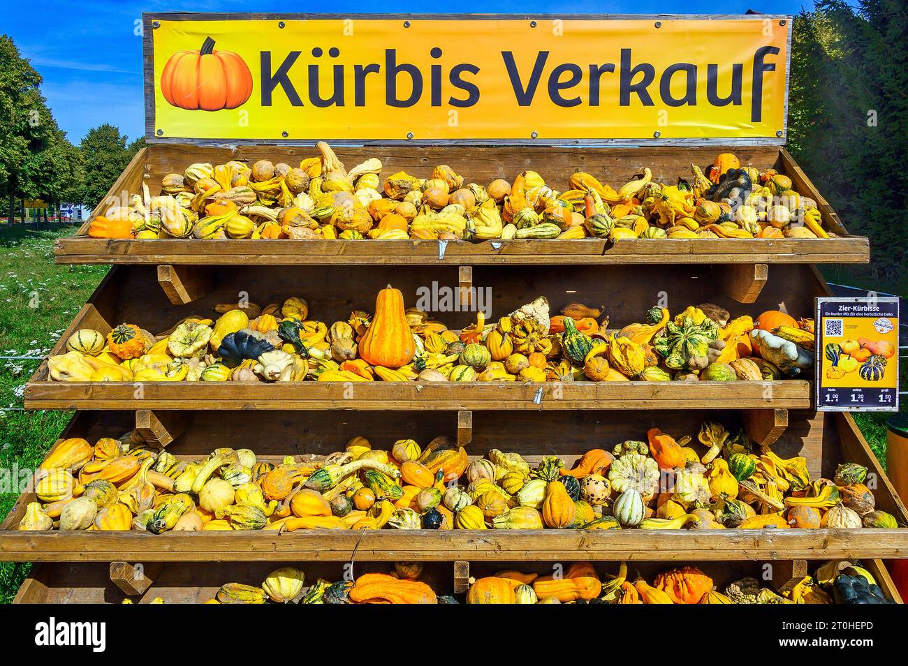 Vente de citrouilles extérieures, citrouilles ornementales, Allgaeu, Bavière, Allemagne Banque D'Images