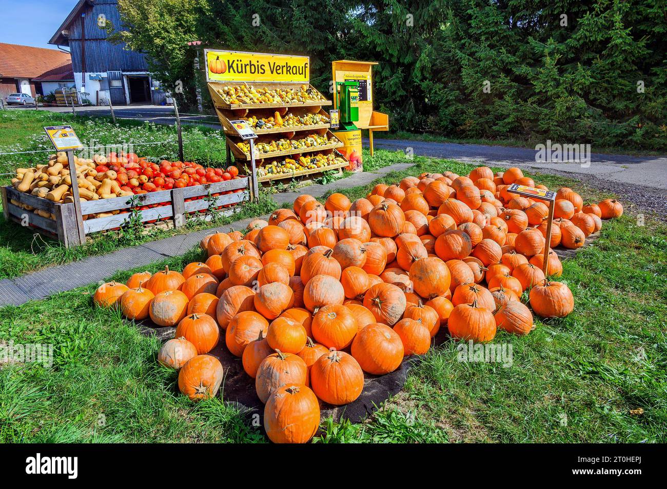 Vente de citrouilles en plein air, Allgaeu, Bavière, Allemagne Banque D'Images
