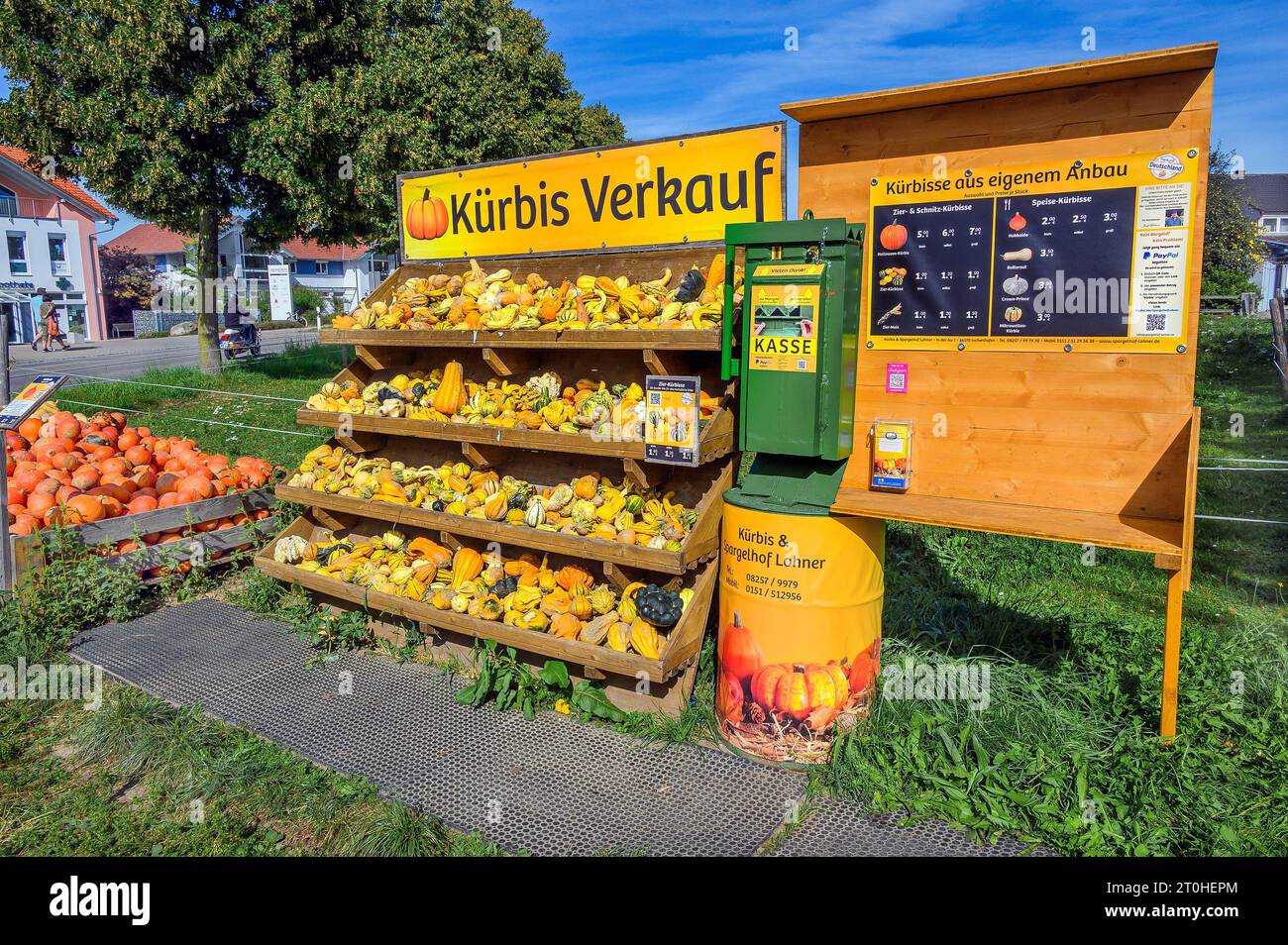 Vente de citrouilles en plein air, Allgaeu, Bavière, Allemagne Banque D'Images