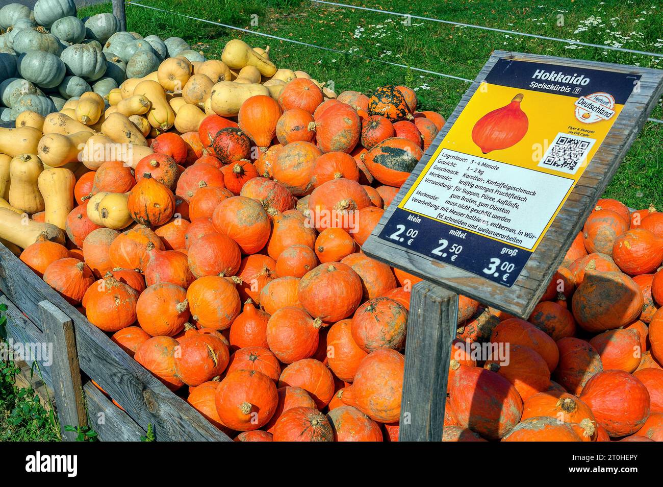 Vente de citrouilles en plein air, citrouilles comestibles Hokkaido, Allgaeu, Bavière, Allemagne Banque D'Images