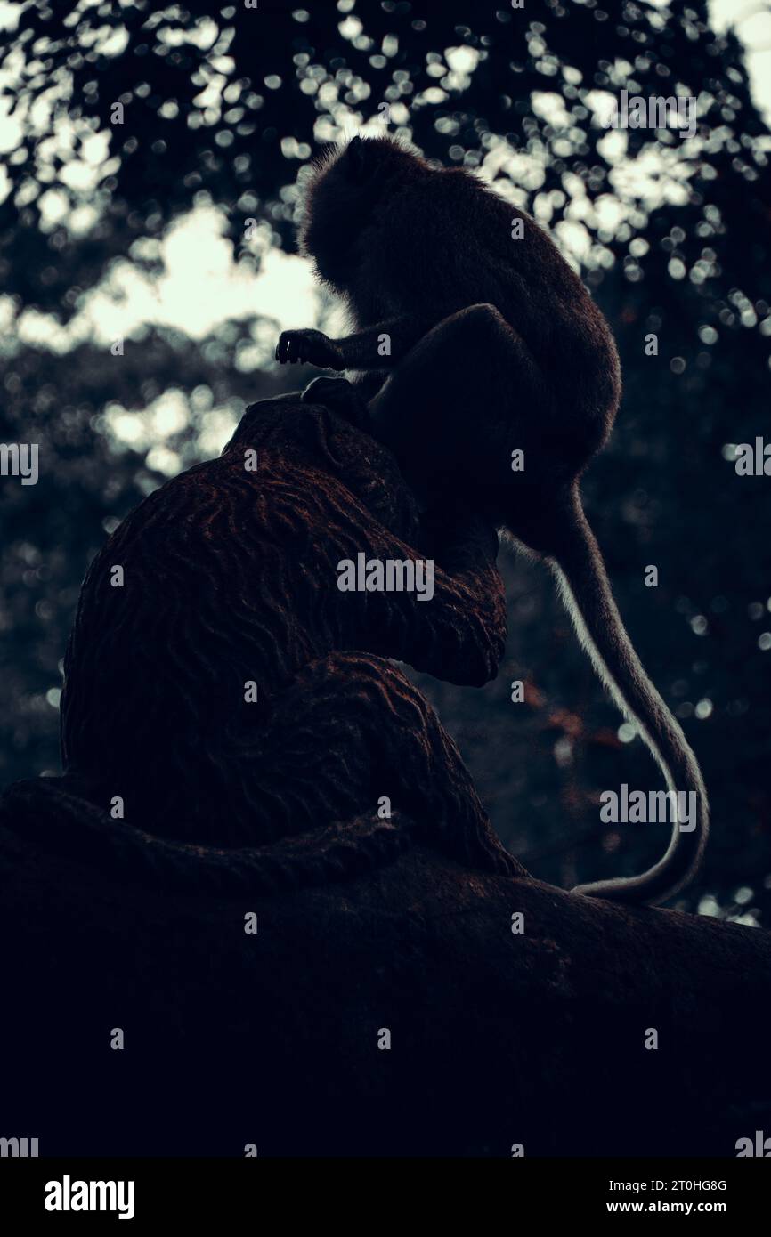 Singe assis sur une statue de singe Banque D'Images