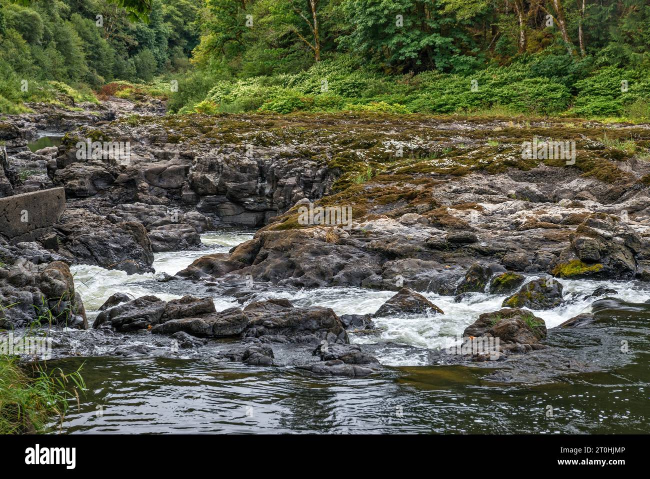 Nehalem Falls, roches basaltiques volcaniques à Nehalem River, près du terrain de camping Nehalem Falls, Tillamook State Forest, Oregon, États-Unis Banque D'Images