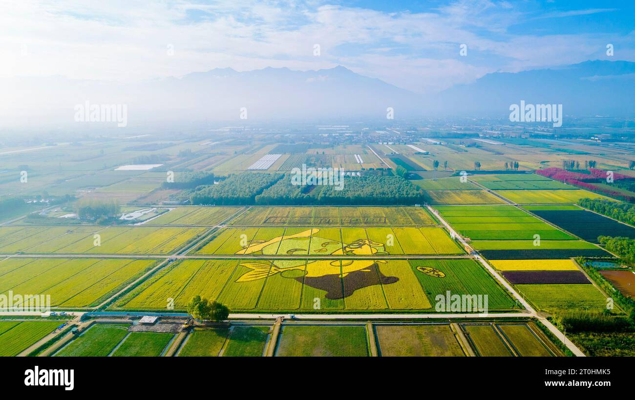 Pékin, Chine. 7 octobre 2023. Cette photo aérienne prise le 7 octobre 2023 montre une peinture de rizières dans le village de Qubao, Xi'an, dans la province du Shaanxi au nord-ouest de la Chine. Crédit : Dong Xiwei/Xinhua/Alamy Live News Banque D'Images