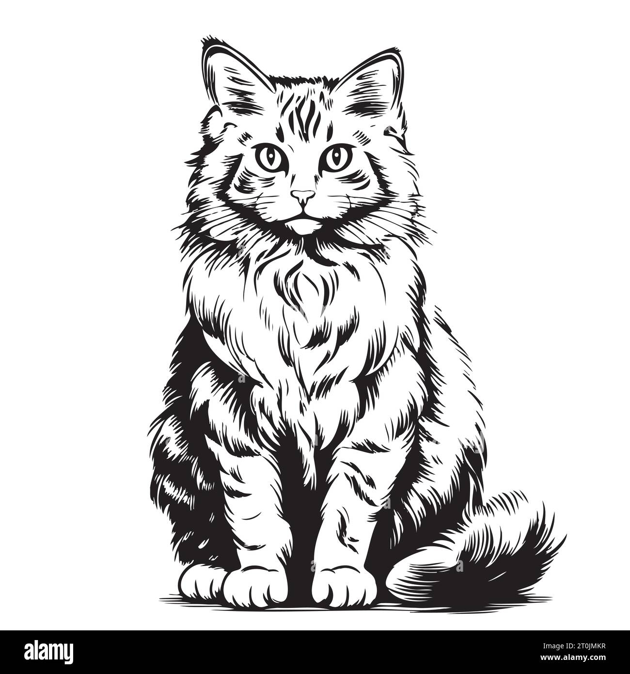 Croquis de chat moelleux dessiné à la main illustration vectorielle animaux de compagnie Illustration de Vecteur