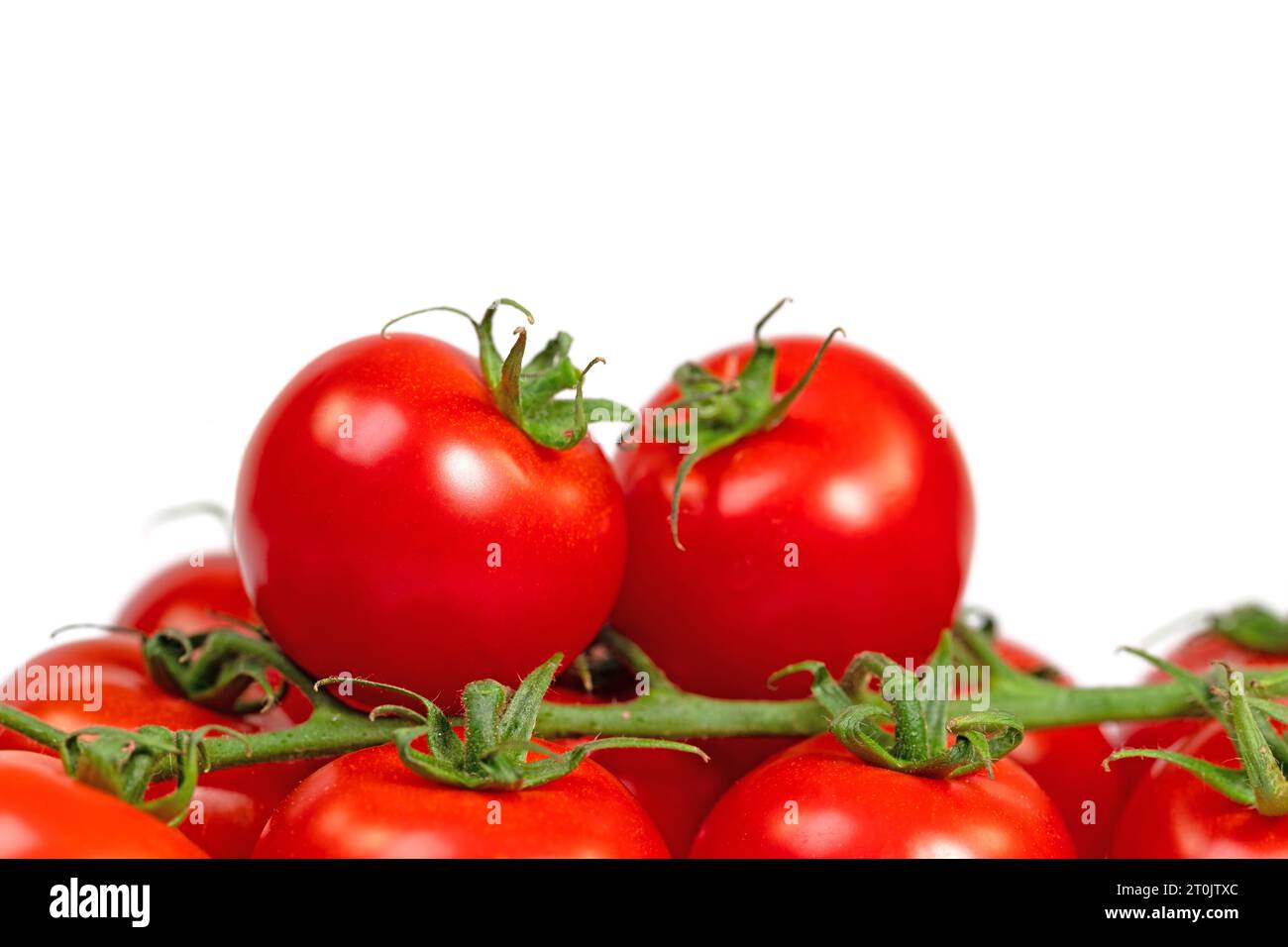 Tomates de vigne isolées sur fond blanc Banque D'Images