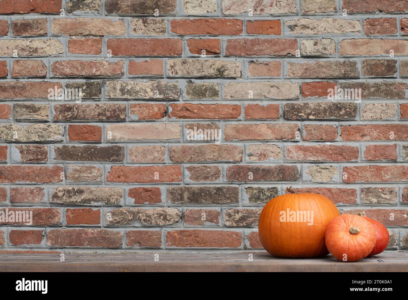 Fond d'un mur fait de briques cuites rouges avec trois citrouilles oranges couchées sur le côté. Il y a beaucoup d'espace pour le texte Banque D'Images