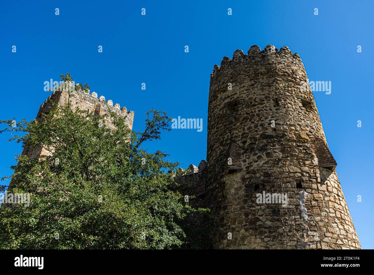 Visitez le château d'Ananuri Banque D'Images