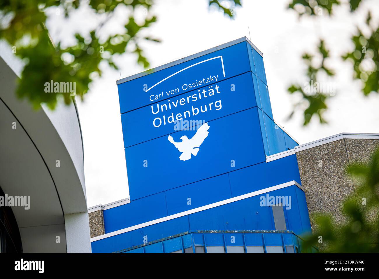 Oldenburg, Allemagne. 06 octobre 2023. L'Université Carl von Ossietzky à Oldenburg. Un nouveau programme d'études est conçu pour former les élèves à enseigner le bas allemand dans les écoles secondaires. Crédit : Sina Schuldt/dpa/Alamy Live News Banque D'Images