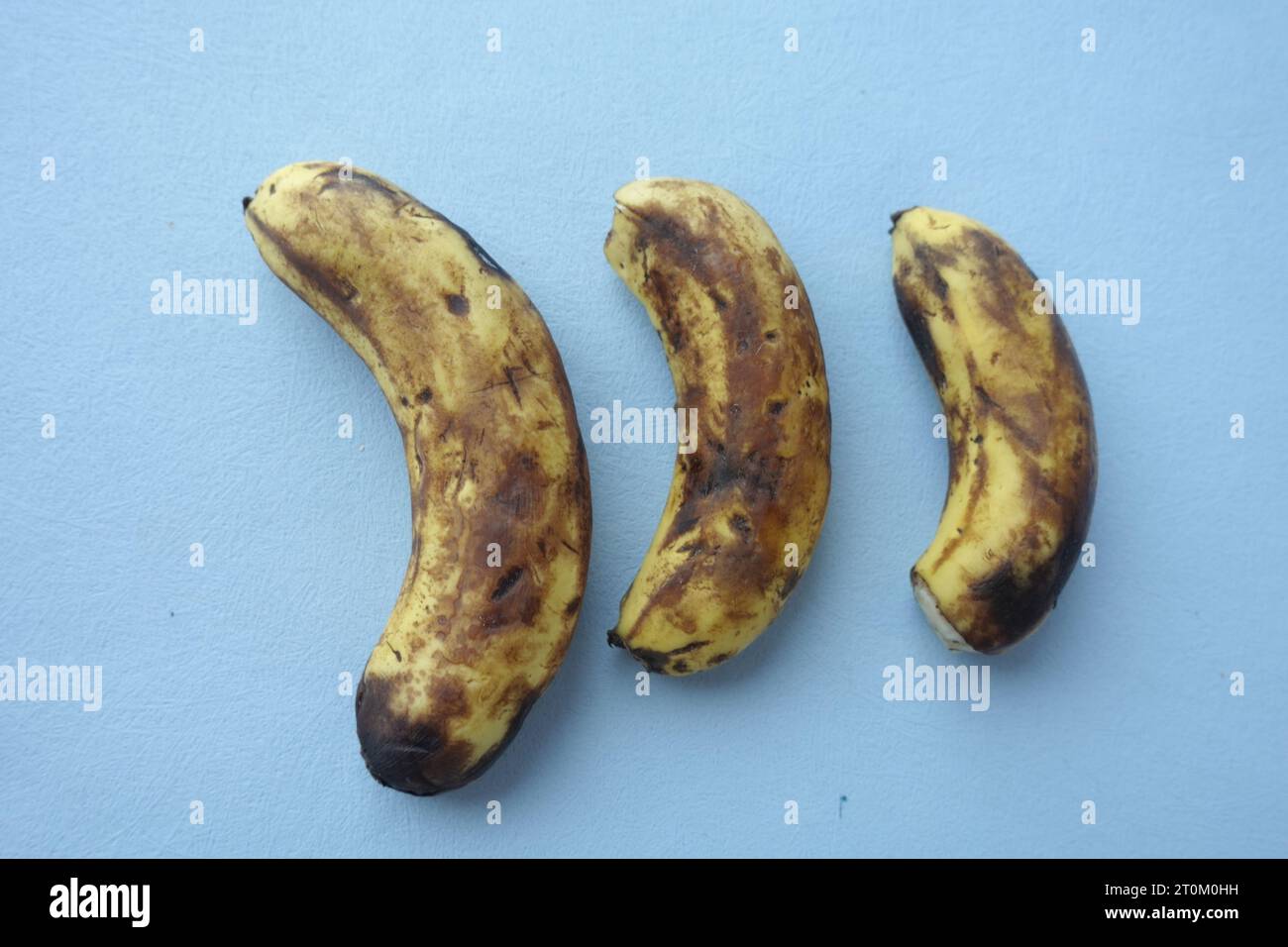 comparer une banane pourrie avec une banane mûre sur fond blanc Banque D'Images