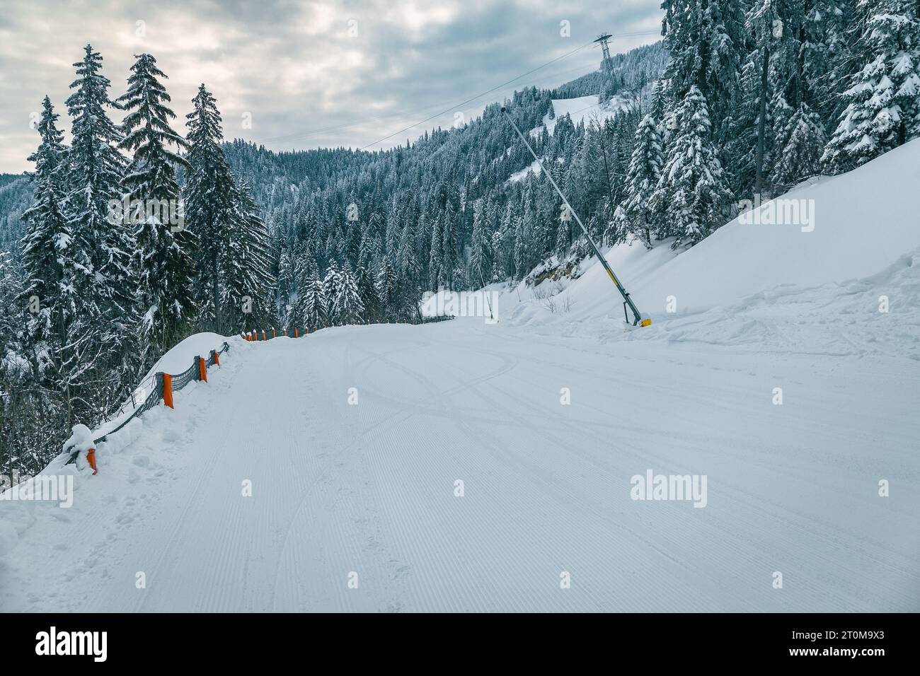 Itinéraire de ski fraîchement préparé avec des canons à neige et forêt de pins enneigés dans la station de ski Poiana Brasov, Transylvanie, Roumanie, Europe Banque D'Images